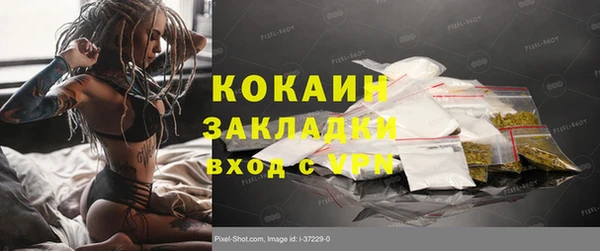 ешки Аркадак