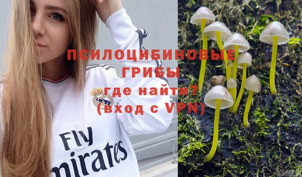 ГАЛЛЮЦИНОГЕННЫЕ ГРИБЫ Армянск