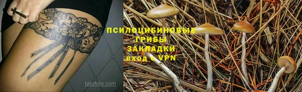 spice Арсеньев