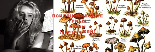 ГАЛЛЮЦИНОГЕННЫЕ ГРИБЫ Армянск