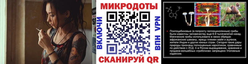 Псилоцибиновые грибы мухоморы Дальнереченск